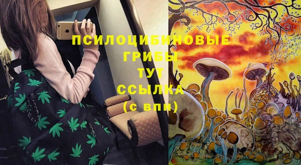 PSILOCYBIN Алексеевка