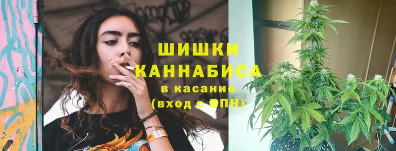 Каннабис White Widow  Будённовск 